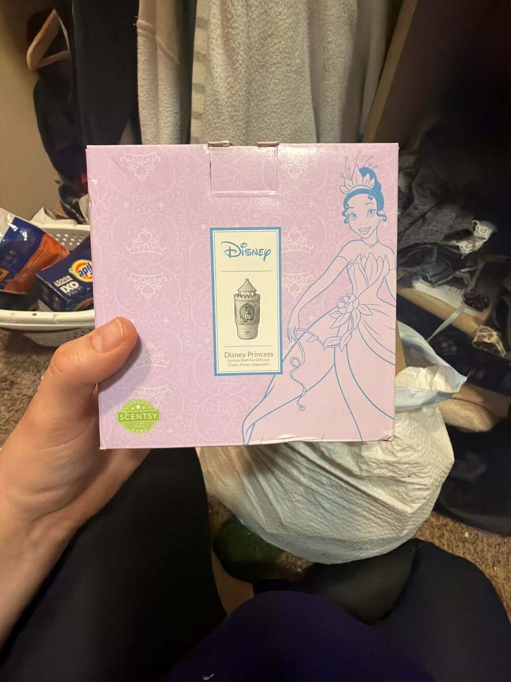 Disney Princess Scentsy Wall Fan Diffuser (Tiana, Mulan, Rapunzel)